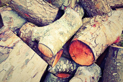 Shaggs wood burning boiler costs